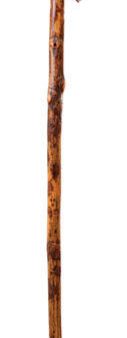 Brazos Freeform Hickory Cane - 55  Cheap