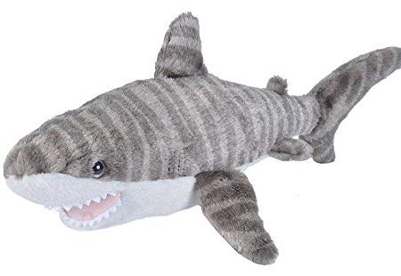 Cuddlekins Plush Mini Tiger Shark - 8  Online