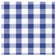 Blue Gingham Paper Napkins Online Hot Sale