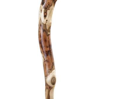 Brazos Natural Hardwood Root Cane - 37  For Sale