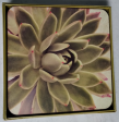 Rock Flower Paper Artful Coasters (Square) - 4 pc. For Cheap