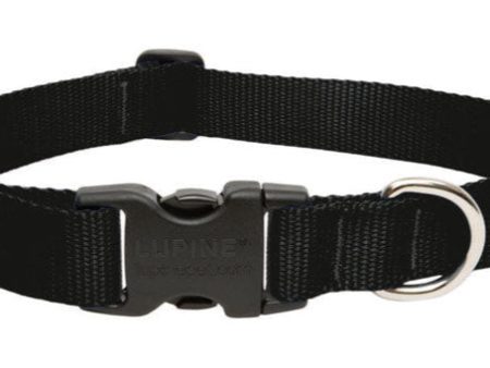 Lupine Adjustable Nylon Dog Collar - Solid Colors Fashion