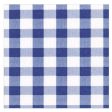 Blue Gingham Paper Napkins Online Hot Sale