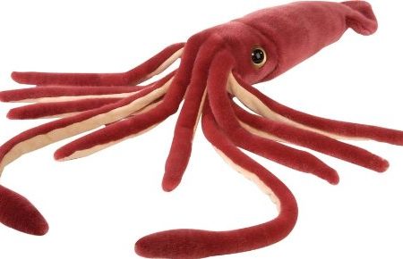 Cuddlekins Plush Squid - 12  For Sale